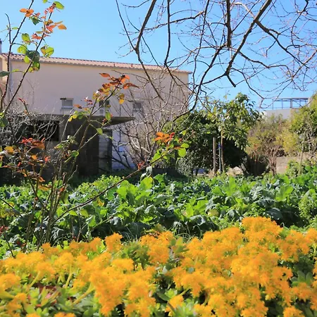 Διαμέρισμα Family Friendly Seaside Podstrana, Split - 23954